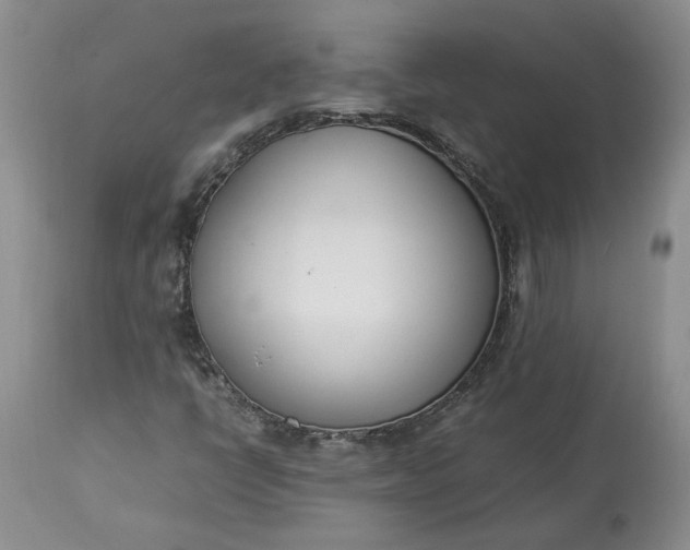 X0000113351398200909291043