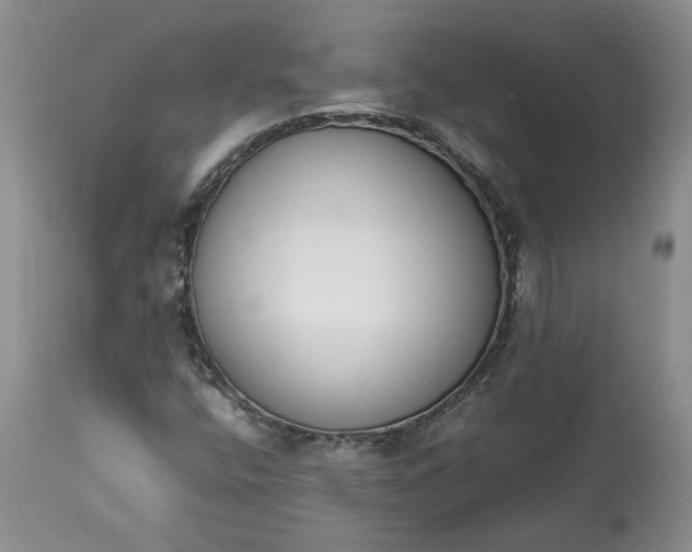 X0000113351400200909291043
