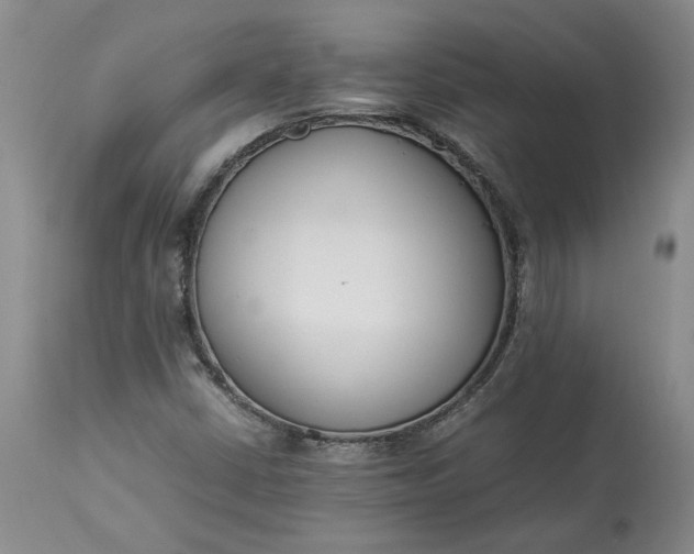 X0000113351402200909291043