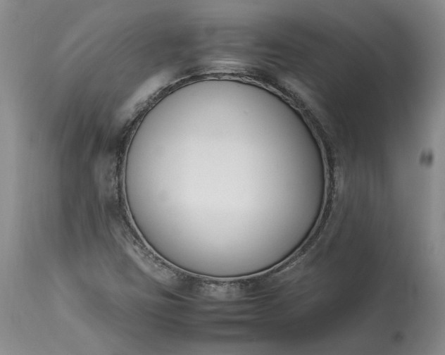 X0000113351403200909291043