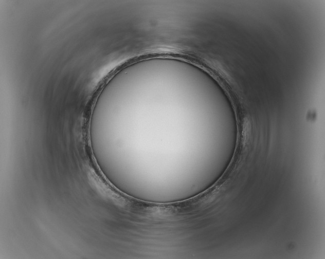 X0000113351404200909291043