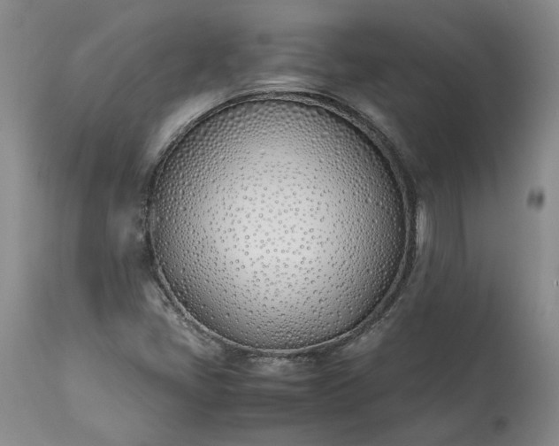 X0000113351405200909291043