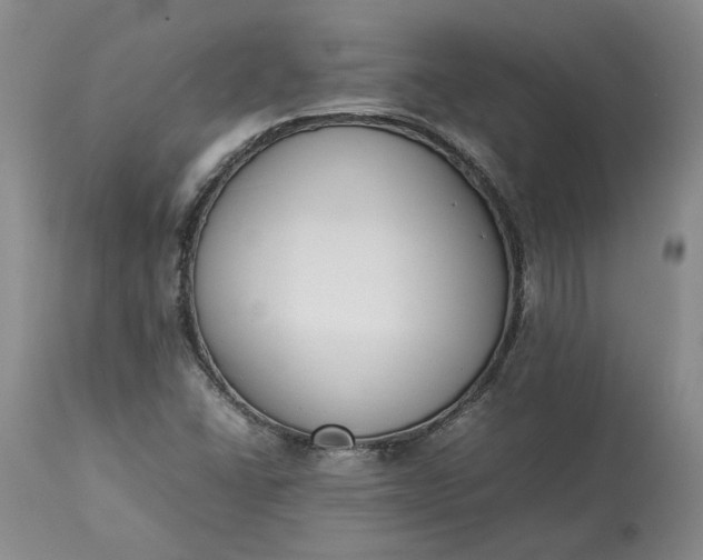 X0000113351406200909291043