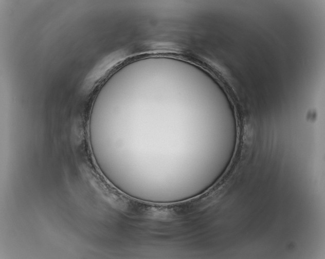 X0000113351407200909291043
