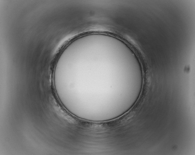 X0000113351408200909291043