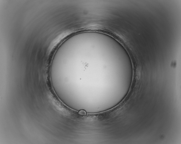 X0000113351410200909291043