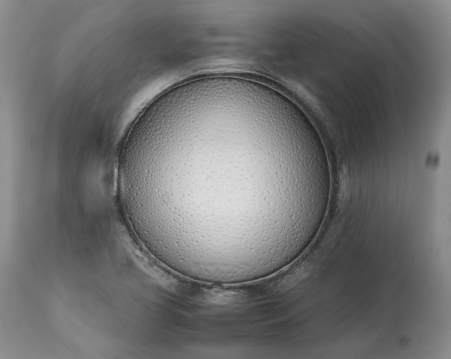 X0000113351413200909291043