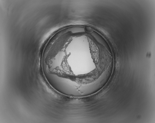 X0000113351414200909291043