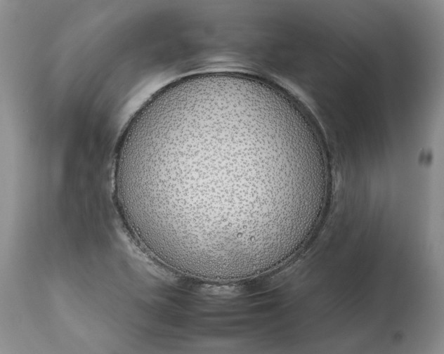 X0000113351415200909291043