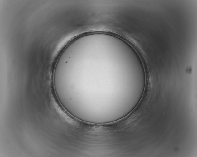 X0000113351416200909291043