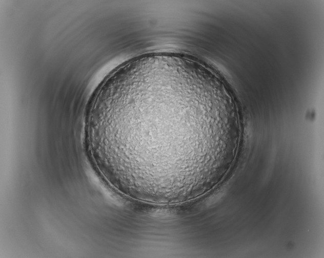 X0000113351418200909291043