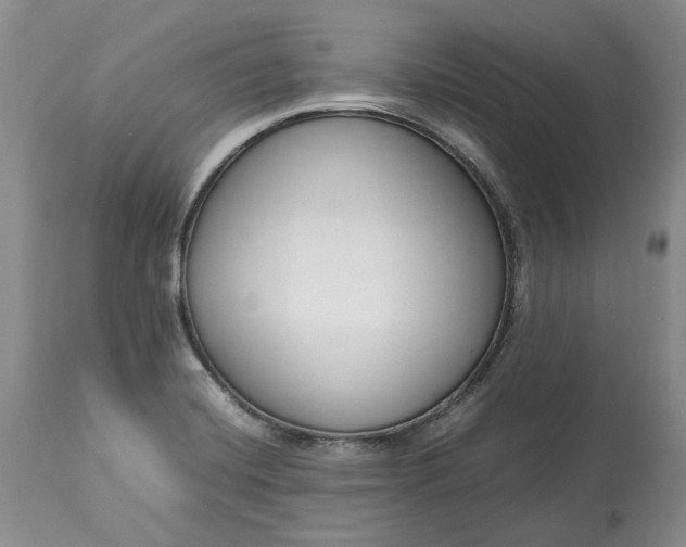 X0000113351420200909291043