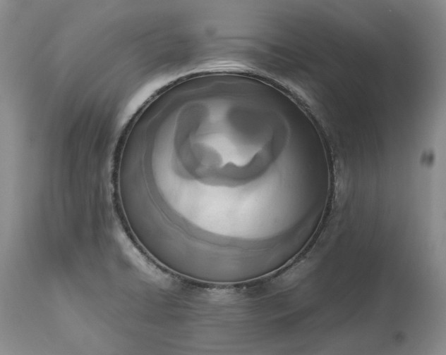 X0000113351422200909291043