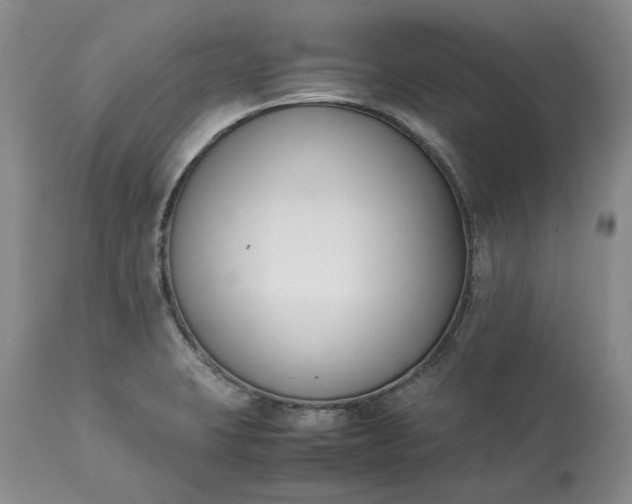 X0000113351423200909291043