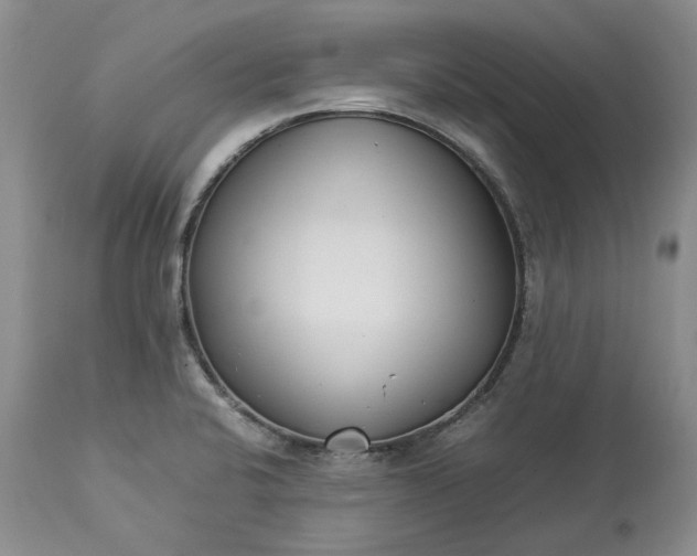 X0000113351424200909291043