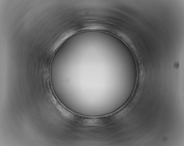 X0000113351425200909291043