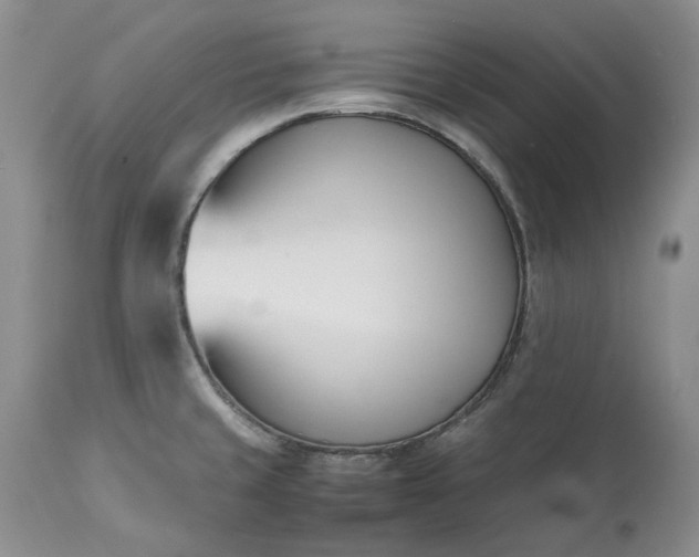 X0000113351429200909291043
