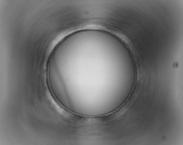 X0000113351430200909291043