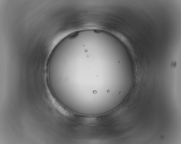 X0000113351431200909291043
