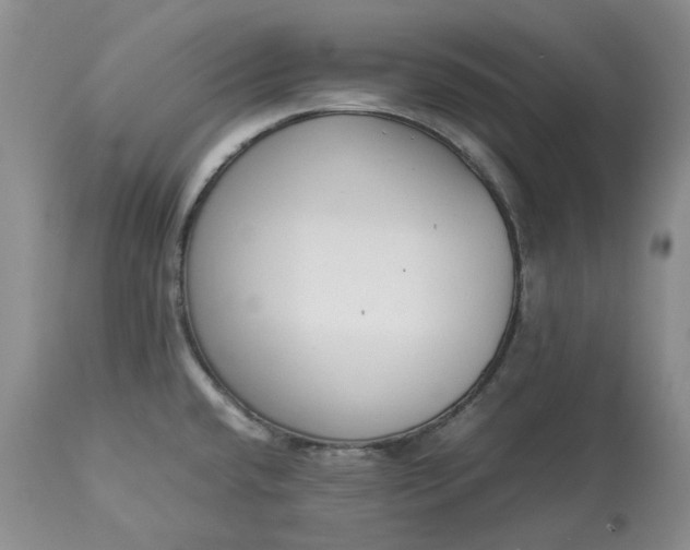 X0000113351432200909291043