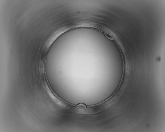 X0000113351433200909291043