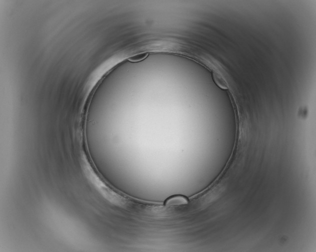 X0000113351434200909291043