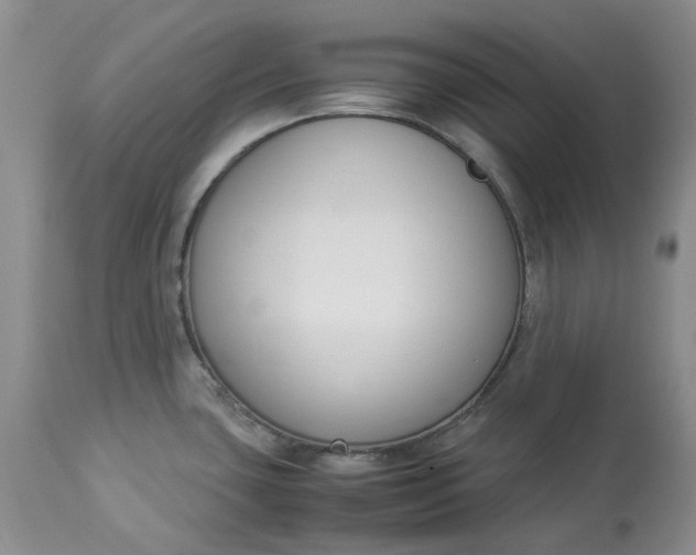 X0000113351435200909291043