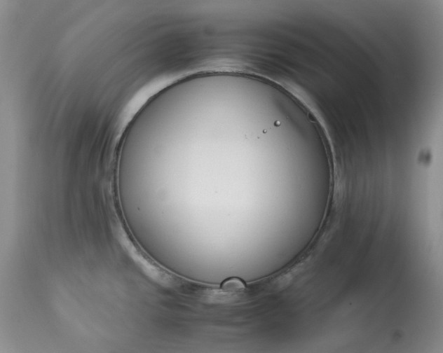 X0000113351437200909291043