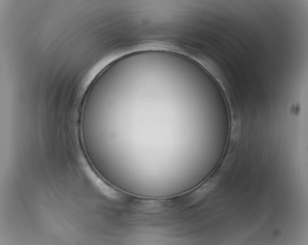 X0000113351438200909291043