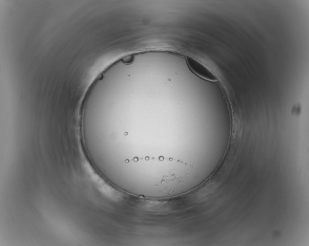 X0000113351439200909291044