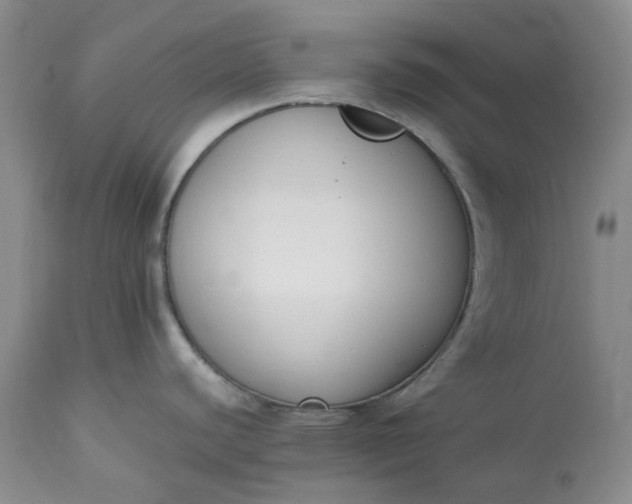 X0000113351440200909291044