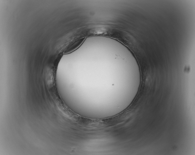 X0000113351442200909291042