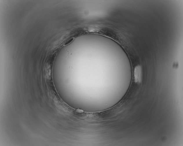 X0000113351443200909291042