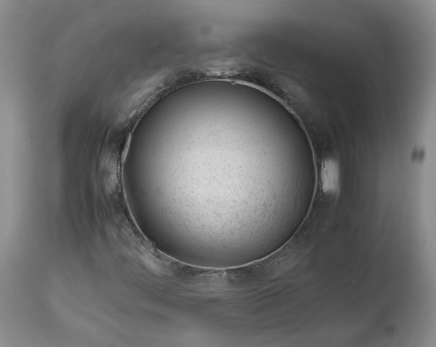 X0000113351444200909291042