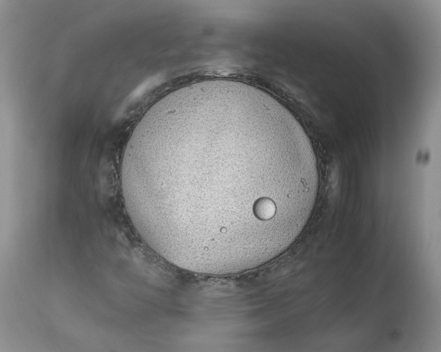 X0000113351446200909291042