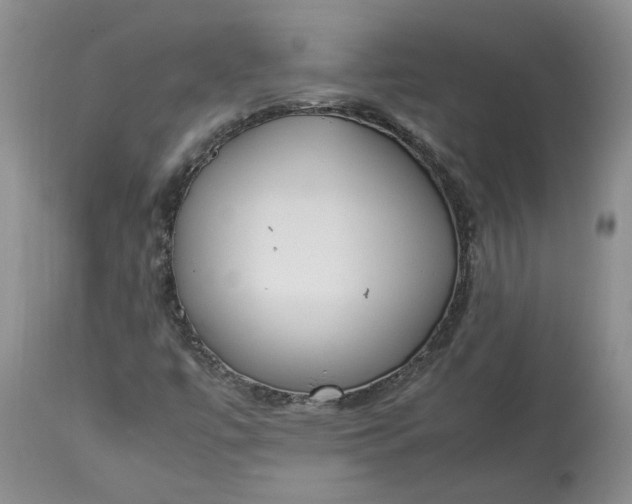 X0000113351447200909291042