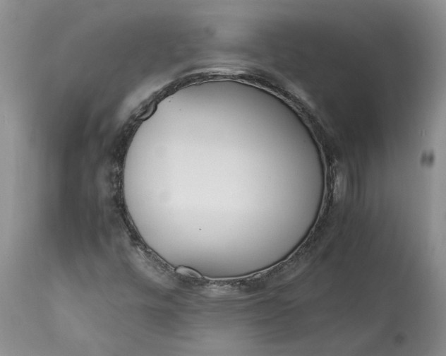 X0000113351448200909291042
