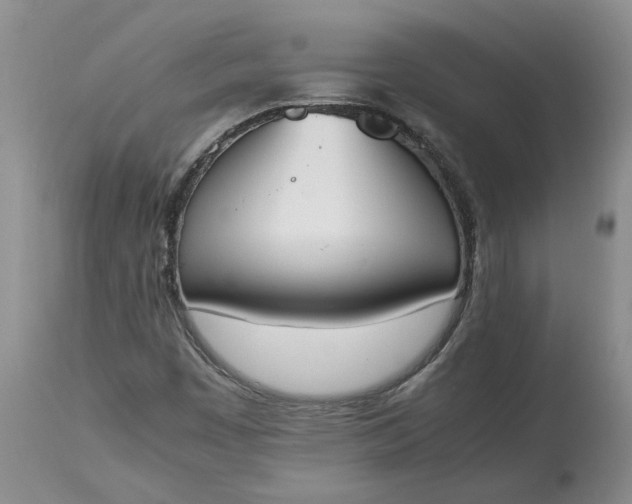 X0000113351449200909291042