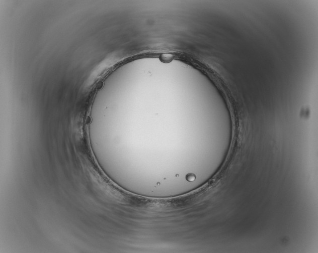 X0000113351451200909291042