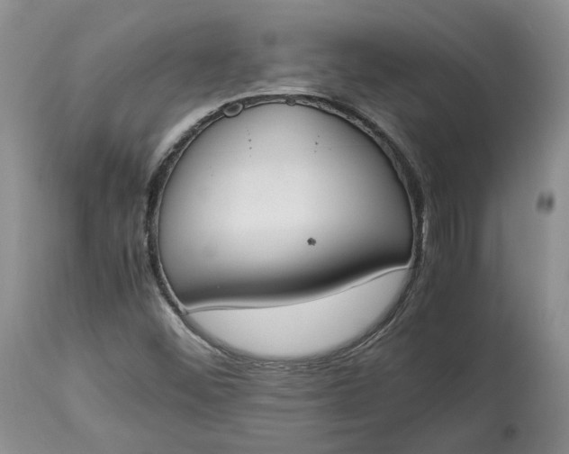 X0000113351452200909291042