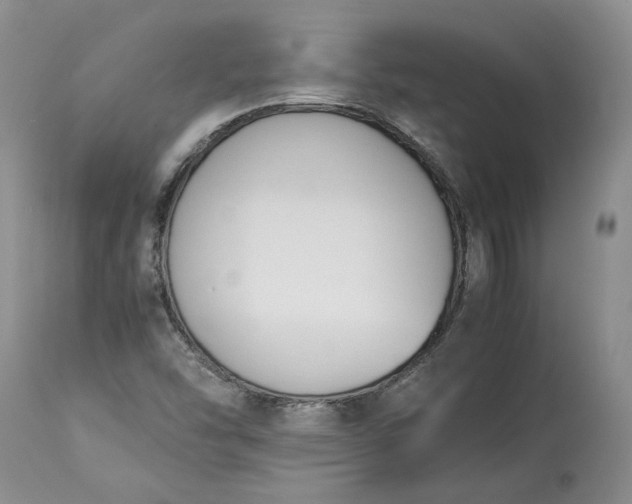 X0000113351454200909291042