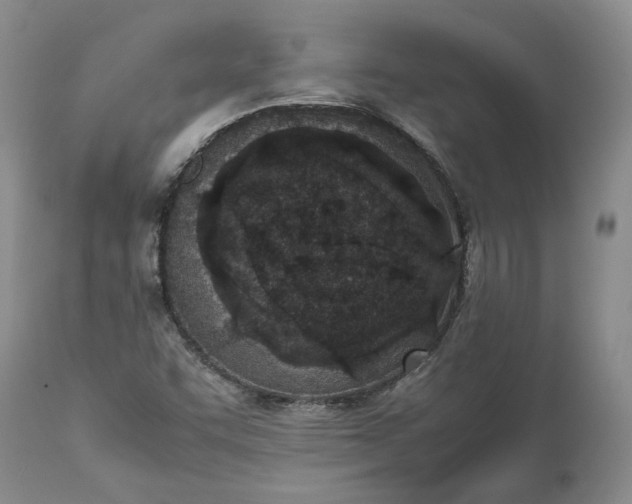 X0000113351455200909291042