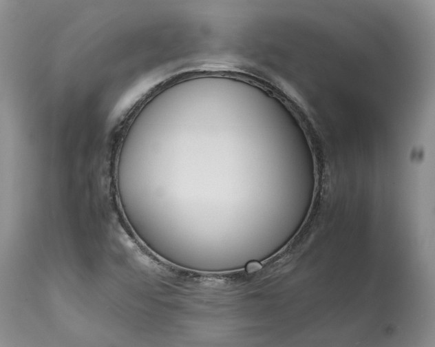 X0000113351456200909291042