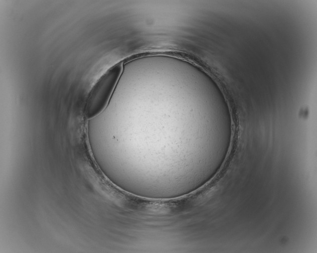 X0000113351457200909291042