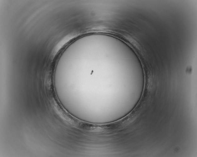 X0000113351458200909291042