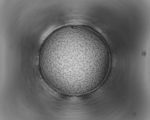 X0000113351459200909291042