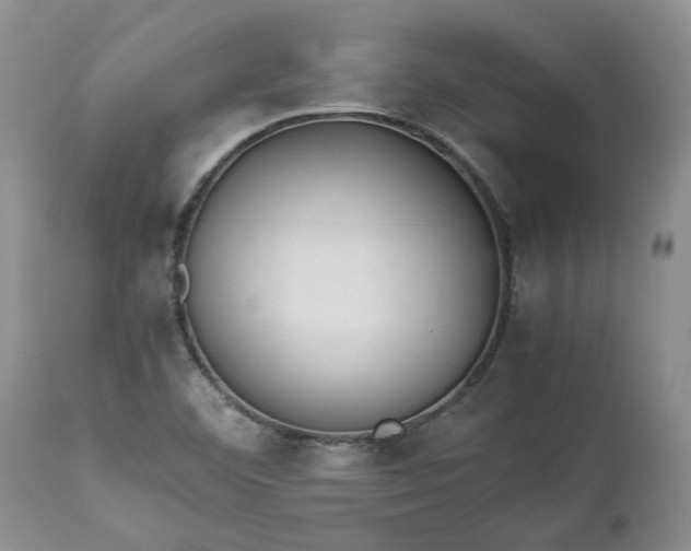 X0000113351460200909291042