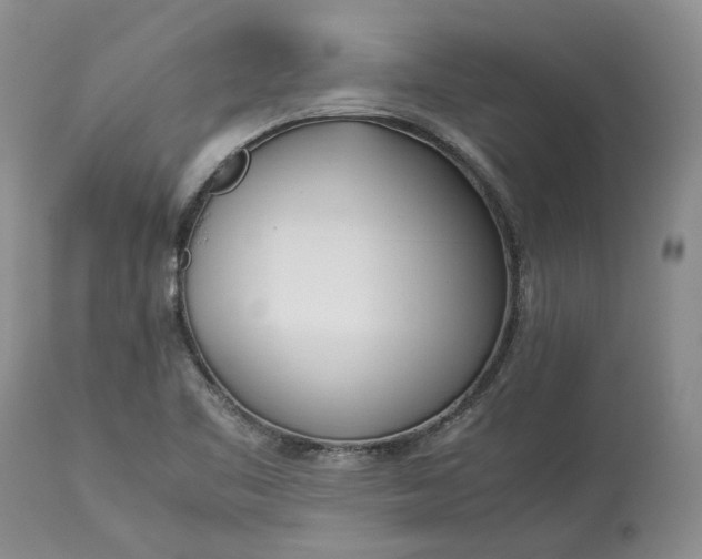 X0000113351461200909291042