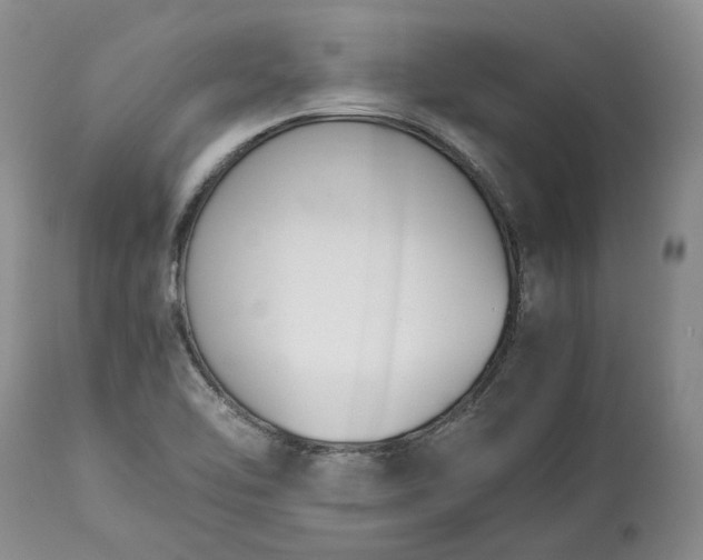X0000113351462200909291042
