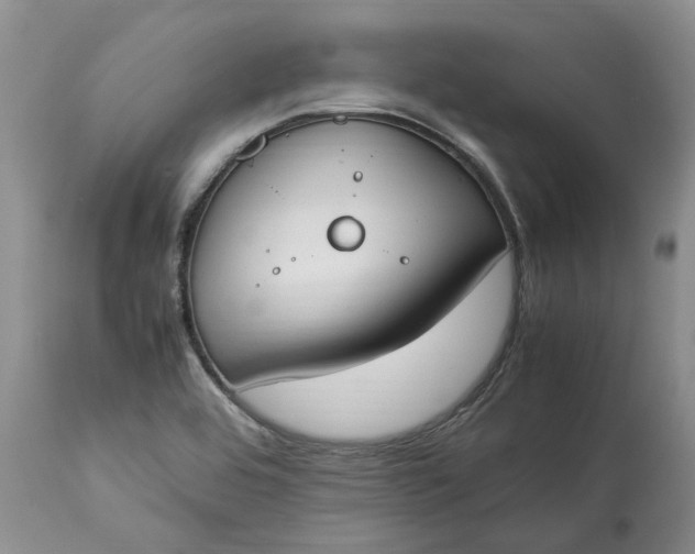 X0000113351464200909291042